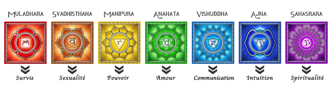 Les 7 Principaux Chakras Et Leurs Fonctions | Mental Waves